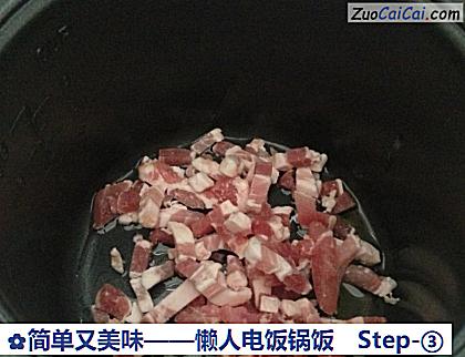 简单又美味——懒人电饭锅饭做法第三步骤