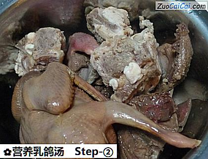 营养乳鸽汤做法第二步骤