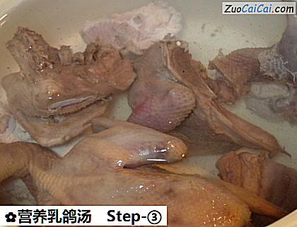 营养乳鸽汤做法第三步骤