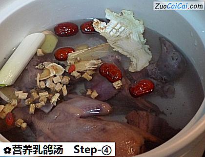 营养乳鸽汤做法第四步骤
