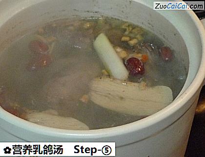 营养乳鸽汤做法第五步骤