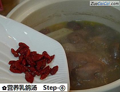 营养乳鸽汤做法第六步骤