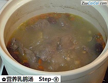营养乳鸽汤做法第八步骤