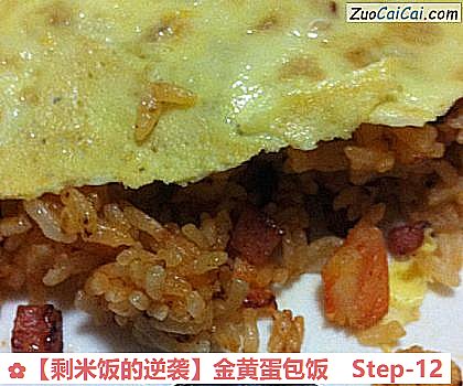 剩米饭的逆袭做法第十二步骤