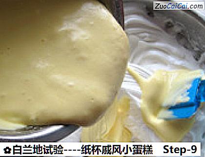 白兰地试验－纸杯戚风小蛋糕做法第九步骤