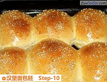 汉堡面包胚做法第十步骤