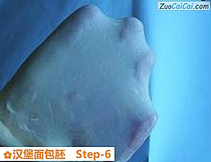 汉堡面包胚做法第六步骤