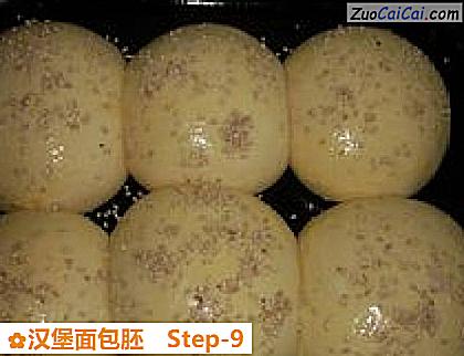 汉堡面包胚做法第九步骤