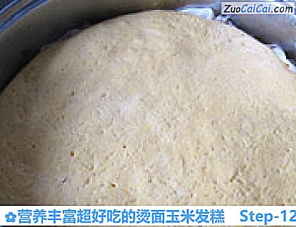 营养丰富超好吃的烫面玉米发糕做法第十二步骤