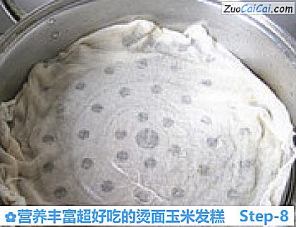 营养丰富超好吃的烫面玉米发糕做法第八步骤