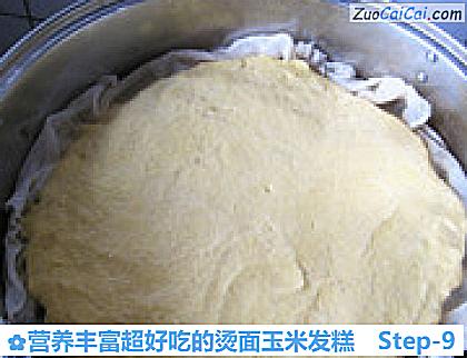 营养丰富超好吃的烫面玉米发糕做法第九步骤
