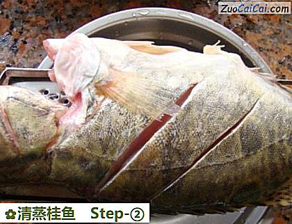 清蒸桂鱼做法第二步骤