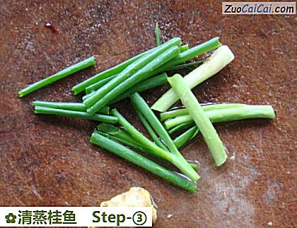 清蒸桂鱼做法第三步骤