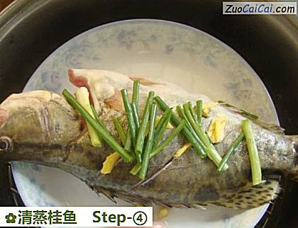 清蒸桂鱼做法第四步骤