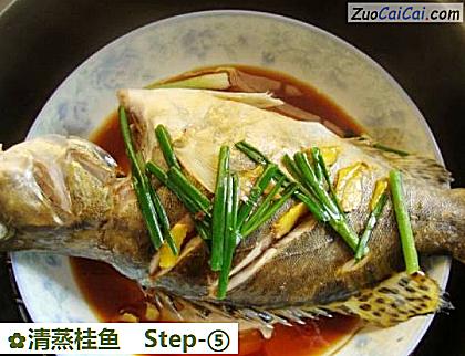 清蒸桂鱼做法第五步骤