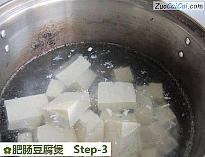 肥肠豆腐煲做法第三步骤