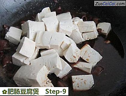 肥肠豆腐煲做法第九步骤