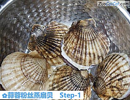 蒜蓉粉丝蒸扇贝做法第一步骤