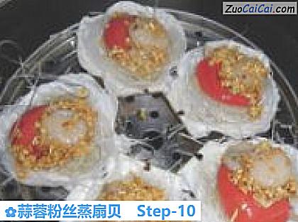 蒜蓉粉丝蒸扇贝做法第十步骤