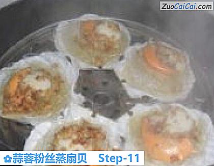 蒜蓉粉丝蒸扇贝做法第十一步骤