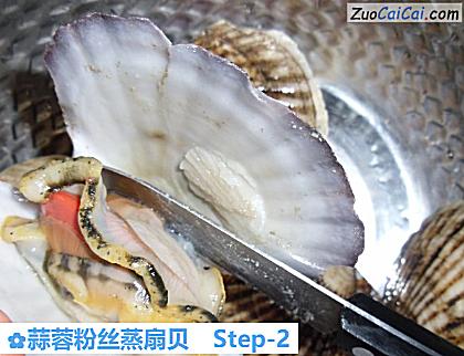 蒜蓉粉丝蒸扇贝做法第二步骤