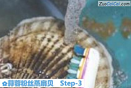 蒜蓉粉丝蒸扇贝做法第三步骤