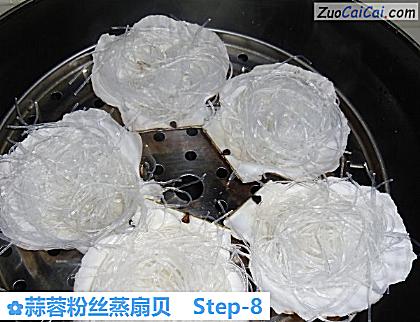 蒜蓉粉丝蒸扇贝做法第八步骤