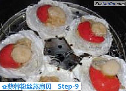 蒜蓉粉丝蒸扇贝做法第九步骤