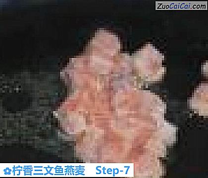 柠香三文鱼燕麦做法第七步骤