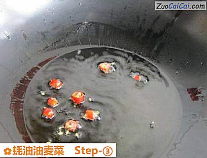 蚝油油麦菜做法第三步骤