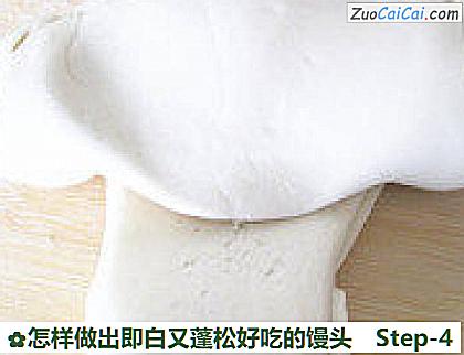 怎样做出即白又蓬松好吃的馒头做法第四步骤
