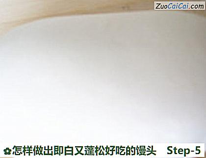 怎样做出即白又蓬松好吃的馒头做法第五步骤