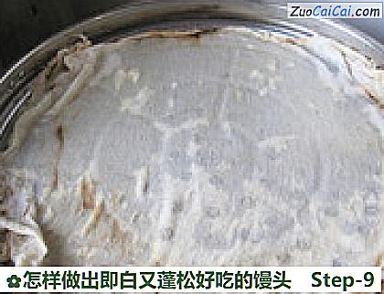 怎样做出即白又蓬松好吃的馒头做法第九步骤