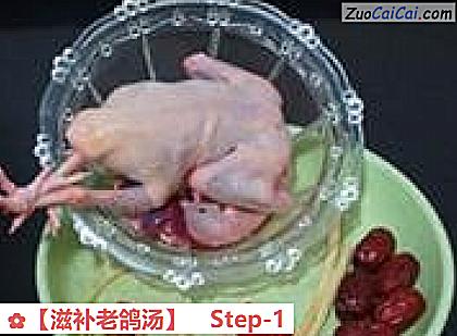 ［滋补老鸽汤］做法第一步骤