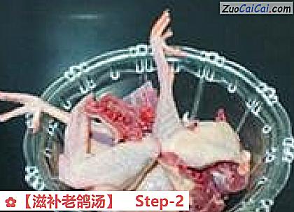 ［滋补老鸽汤］做法第二步骤