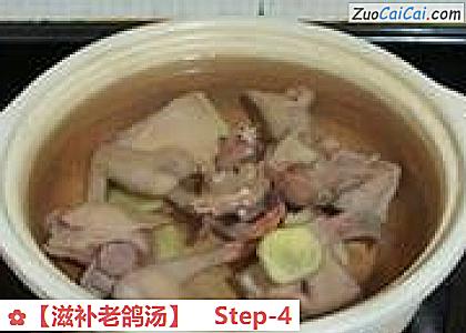 ［滋补老鸽汤］做法第四步骤