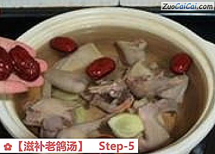 ［滋补老鸽汤］做法第五步骤