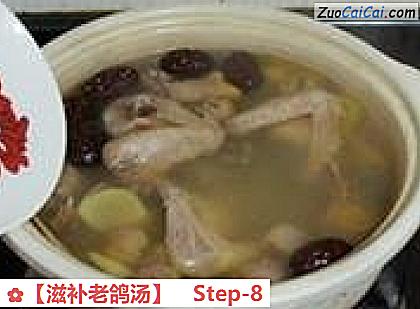 ［滋补老鸽汤］做法第八步骤