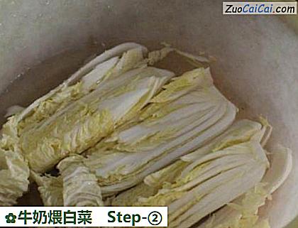 牛奶煨白菜做法第二步骤