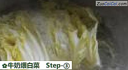 牛奶煨白菜做法第三步骤
