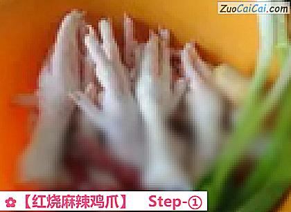 红烧麻辣鸡爪做法第一步骤