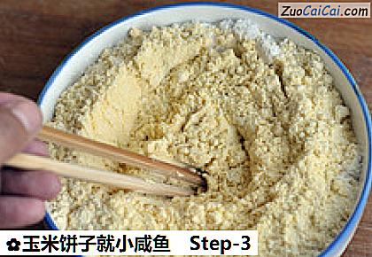 玉米饼子就小咸鱼做法第三步骤