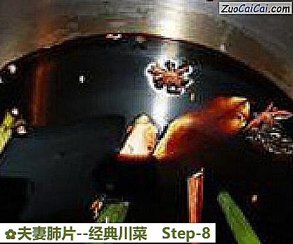 夫妻肺片做法第八步骤