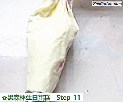 黑森林生日蛋糕做法第十一步骤