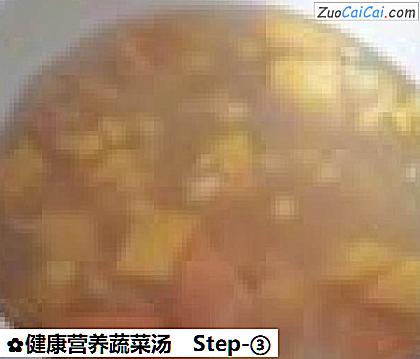 健康营养蔬菜汤做法第三步骤