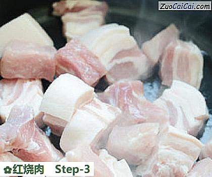 红烧肉做法第三步骤