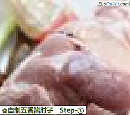 自制五香酱肘子做法第一步骤
