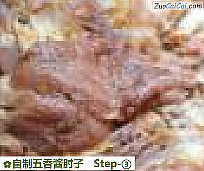 自制五香酱肘子做法第三步骤