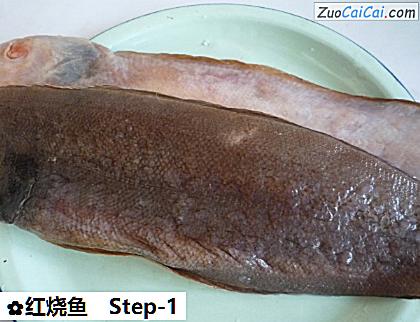 红烧鱼做法第一步骤