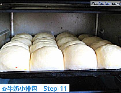 牛奶小排包做法第十一步骤